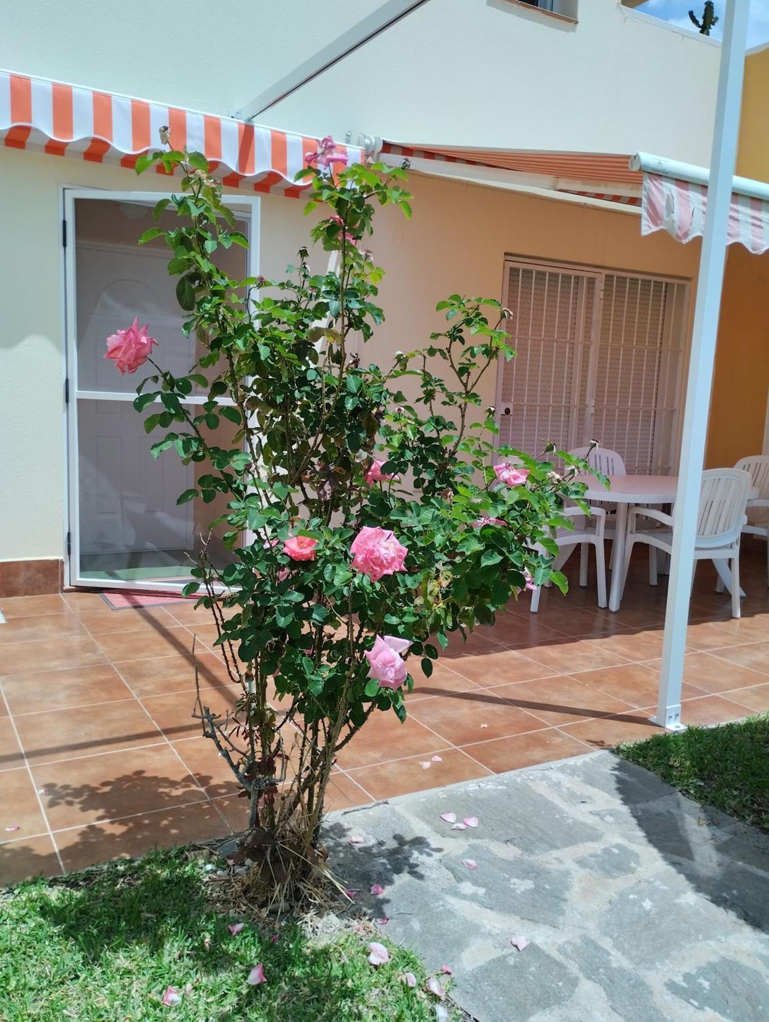Urbanización Naturista Bahía de Vera, Apartamento Aquaria Exterior foto